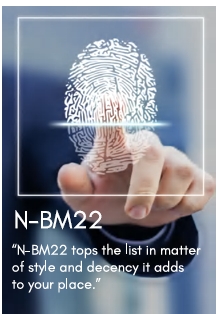 Standalone Access Control Device With Fingerprint And Card NBM22