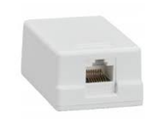 CAT 6 IO with face plate and back box