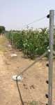 Intermediate Poles For Solar Fencing