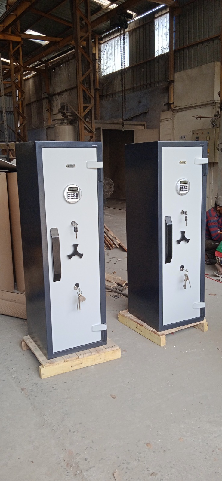 Electronic Safe Dual lock