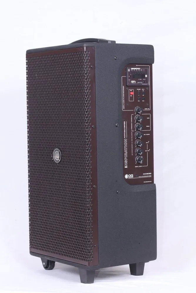 Portable PA System