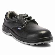 Safety Shoes Allen Copper Double Density