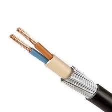 Two Core Armored Copper Cable